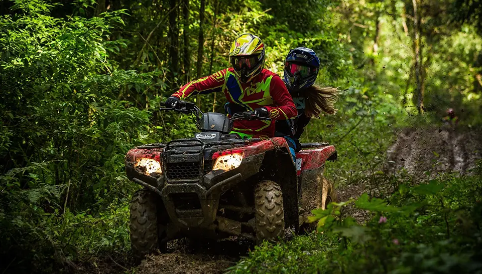 Roteiro Charmoso: Serras Gaúchas e Vinícolas - inspiração 1