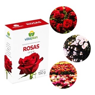 Quantidade Certa: Evitando Excessos e Deficiências - inspiração 1