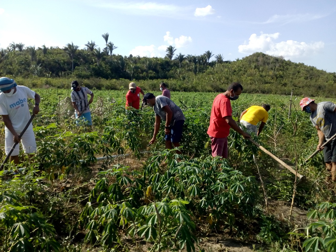Valorização do Conhecimento Tradicional: Sabedoria Ancestral Aplicada - inspiração 2