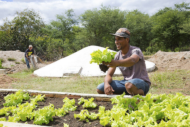 Uso Consciente da Água: Conservação e Eficiência Hídrica - inspiração 2
