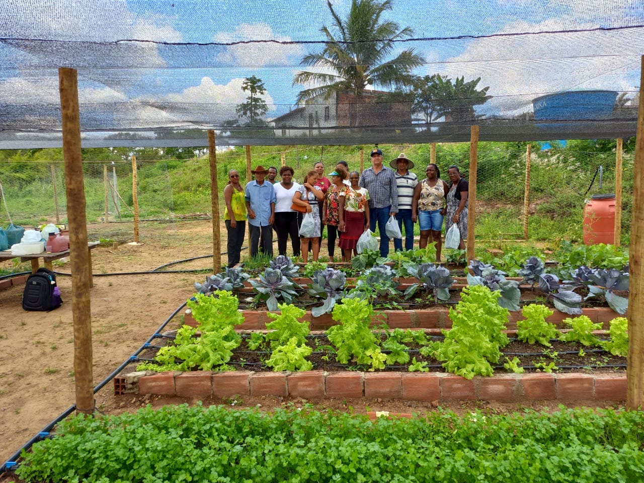 Sementes Crioulas: Patrimônio Genético e Soberania Alimentar - inspiração 1