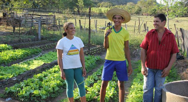 Integração Lavoura-Pecuária-Floresta: Um Ecossistema Produtivo - inspiração 2