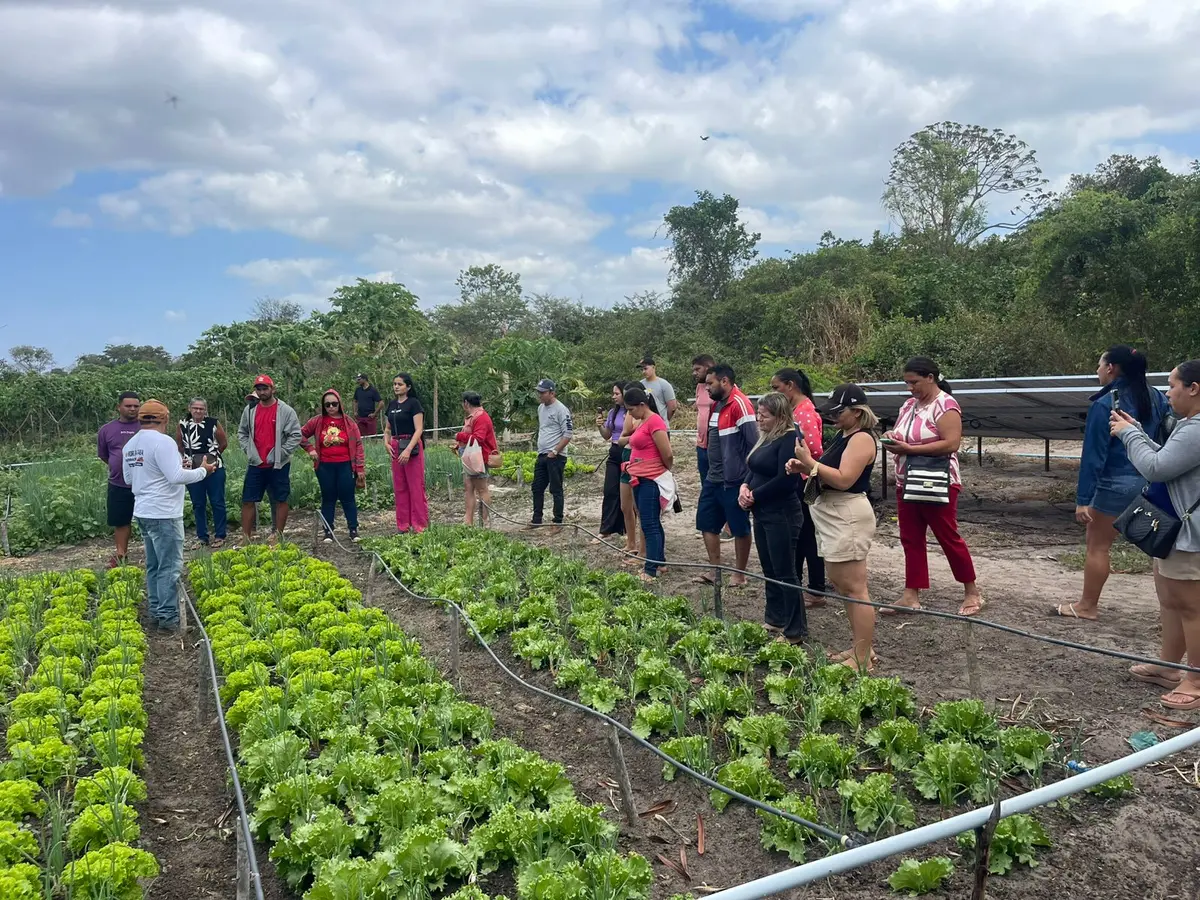 Saúde do Agricultor: Bem-Estar no Campo e na Mesa - inspiração 1