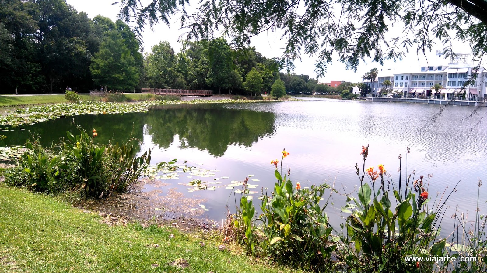 Sabores Locais em Winter Garden: Mercado e História - inspiração 1