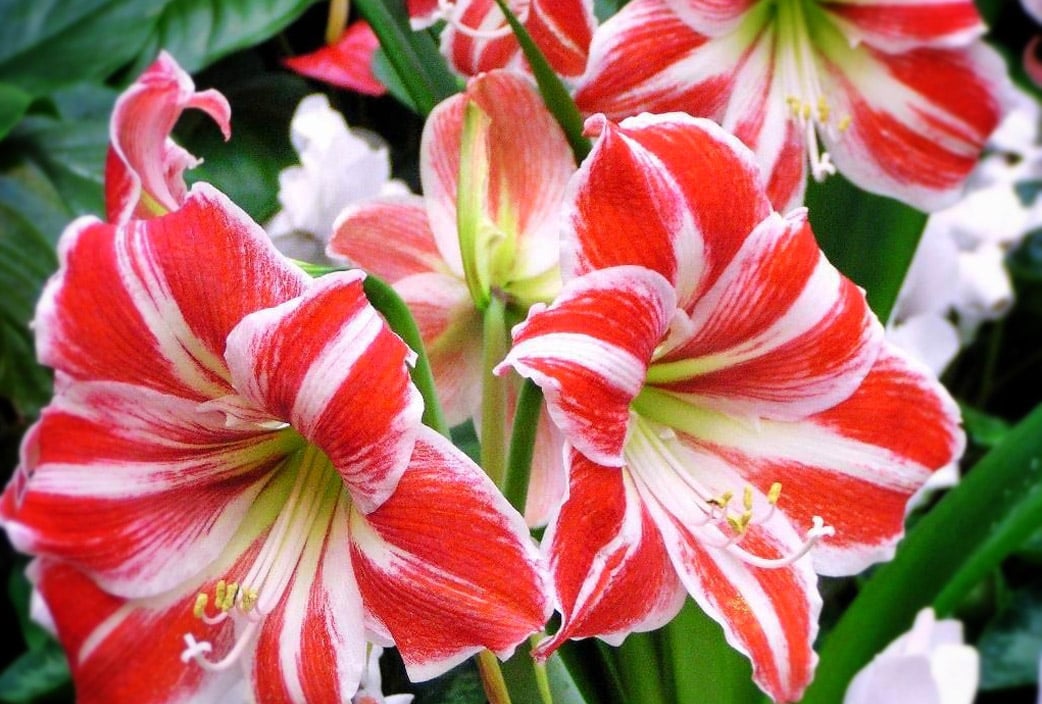 O Olhar da Criança: Capturando a Inocência e a Diversão em Fotos Reais - inspiração 2