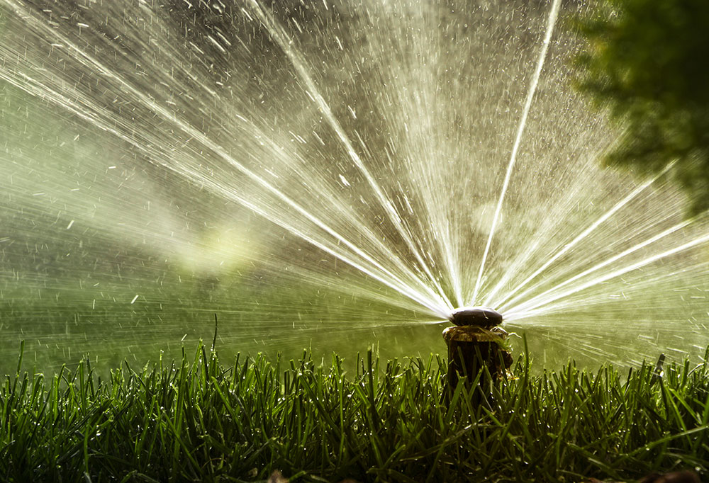 Erros Comuns ao Automatizar a Irrigação e Como Evitá-los - inspiração 2