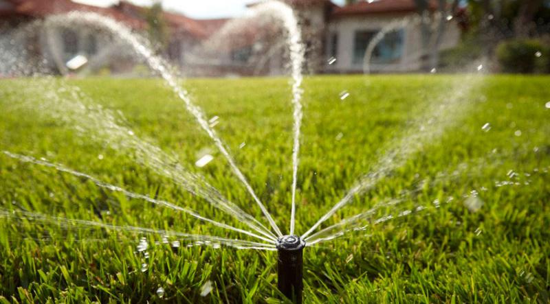 Planejando a Instalação: Mapeando Seu Jardim - inspiração 2