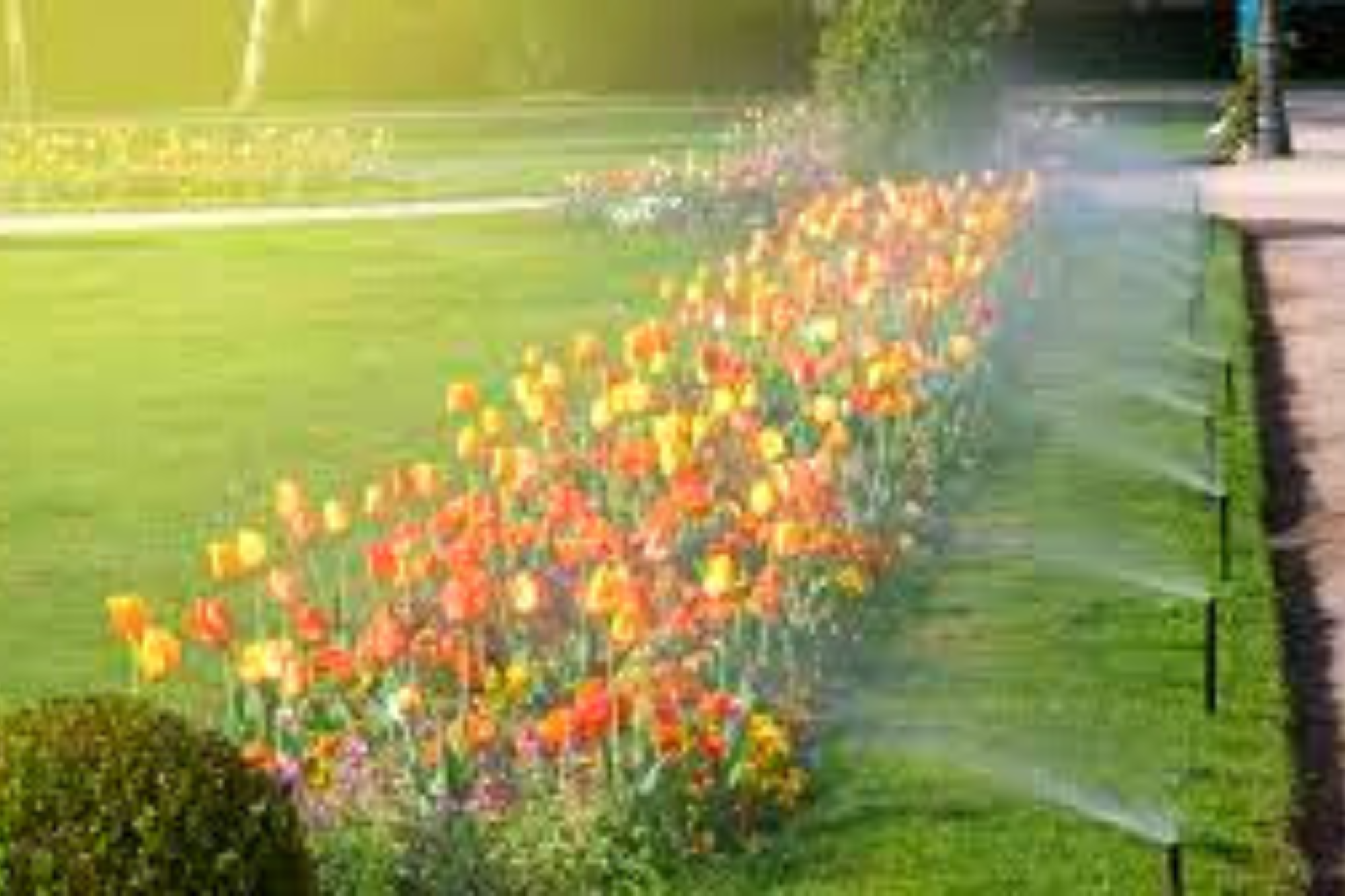 Configurando os Controladores: A Inteligência por Trás da Irrigação - inspiração 1