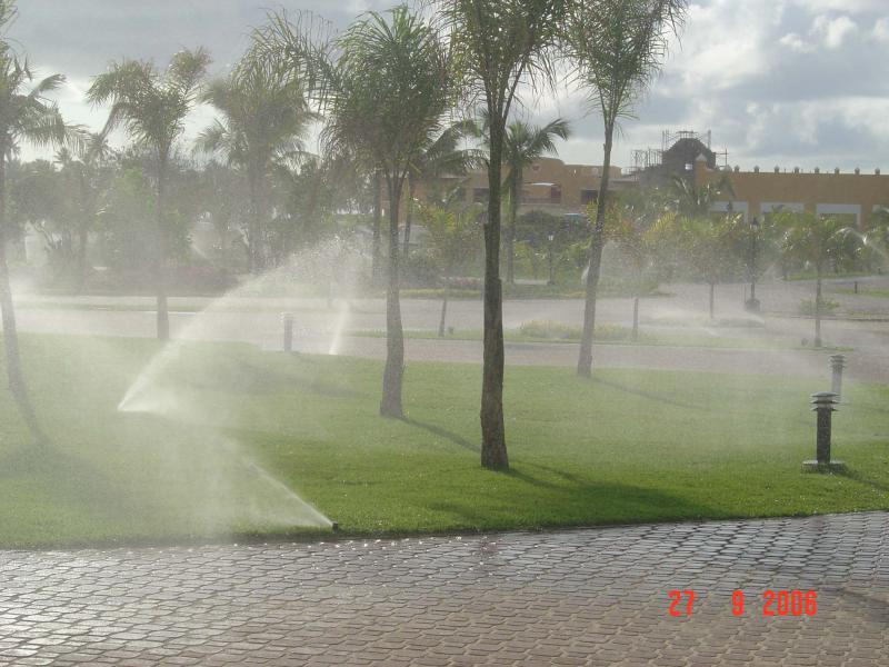 Sensores de Umidade e Chuva: Economia e Eficiência Inteligente - inspiração 2