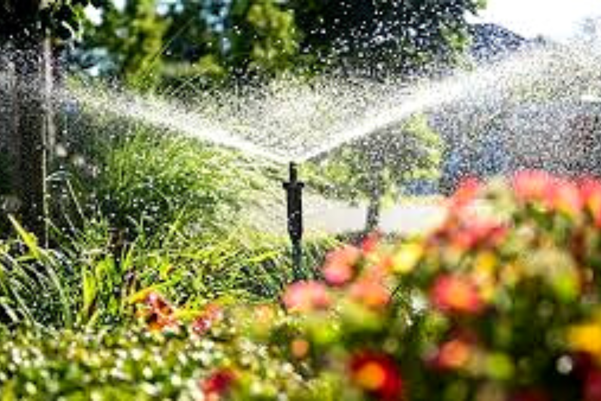 Manutenção Preventiva: Garantindo a Longevidade do Seu Sistema - inspiração 1