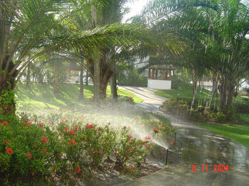 A Conexão Wi-Fi e os Aplicativos: Controle na Palma da Mão - inspiração 1