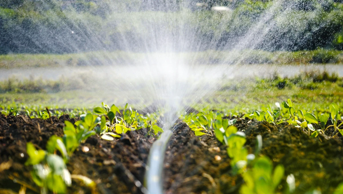 A Conexão Wi-Fi e os Aplicativos: Controle na Palma da Mão - inspiração 2