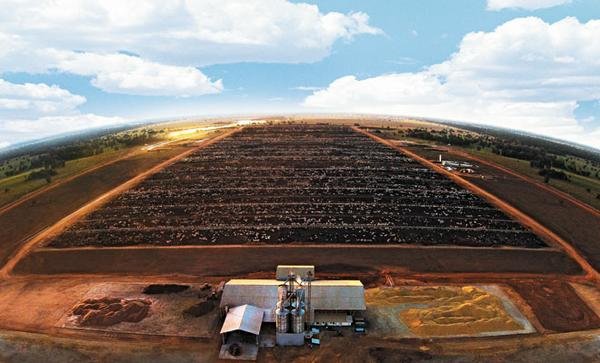 Como Analisar a Qualidade Proteica do Seu Solo - inspiração 2