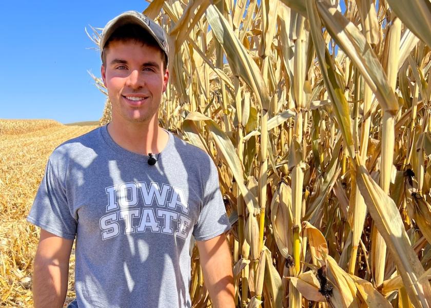 Canal Y: Dicas de Plantio para Iniciantes e Experientes - inspiração 2