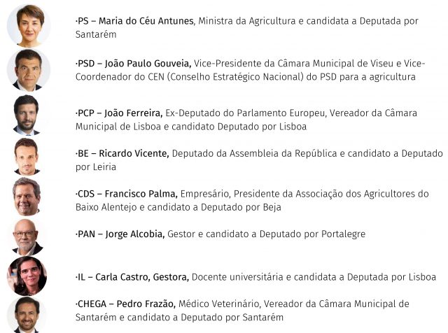 Hortaliças em Casa: O Guia Completo do Canal C - inspiração 2