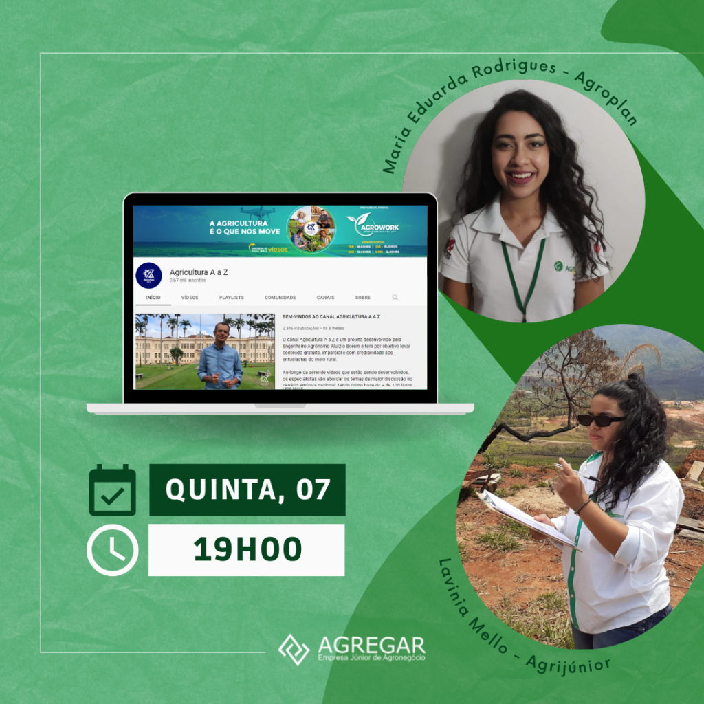 Maquinário Agrícola e Tecnologia: Canal D Revela Tudo - inspiração 1