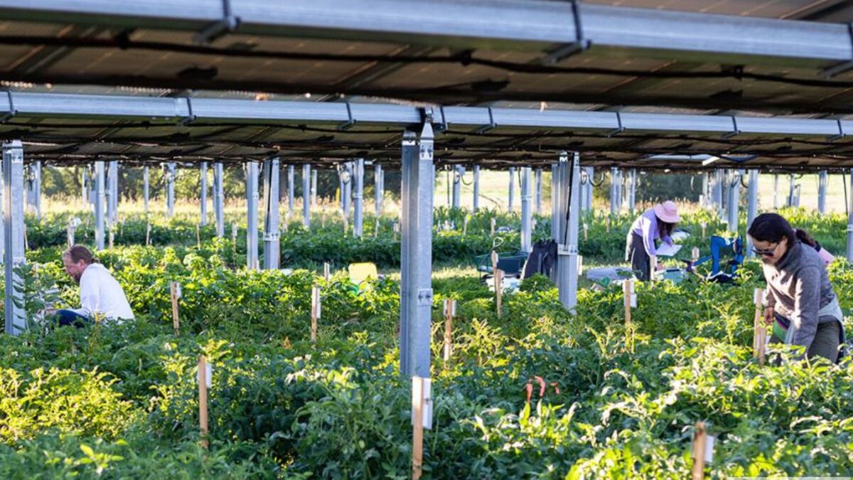 Receitas e Conservação de Alimentos: O Toque Especial do Canal E - inspiração 2