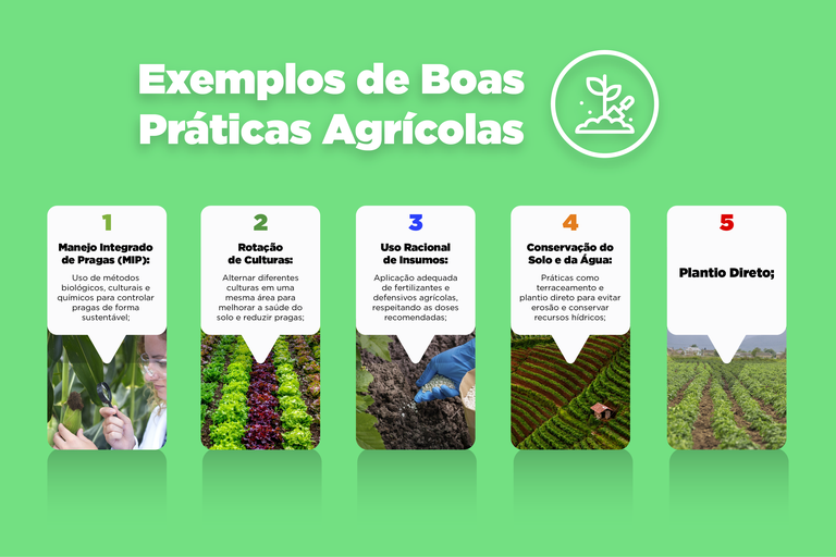 Vida no Campo: Inspiração e Desafios com o Canal F - inspiração 1