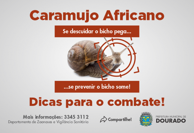 Identificando o Invasor: Características do Caramujo Gigante Africano - inspiração 1