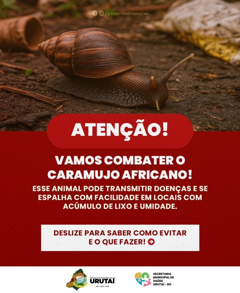 Métodos de Coleta Manual Segura: Passo a Passo - inspiração 2