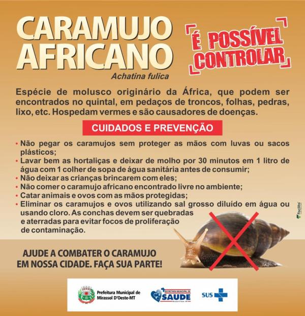 O Poder da Catação: Quando e Como Fazer - inspiração 2