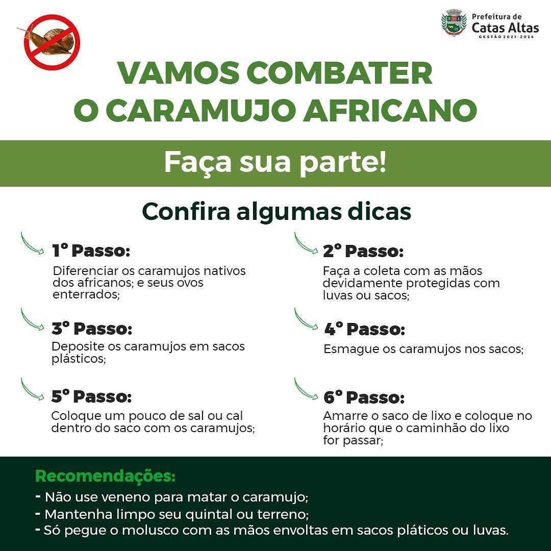 Armadilhas Caseiras Eficientes: Soluções Simples e Baratas - inspiração 1