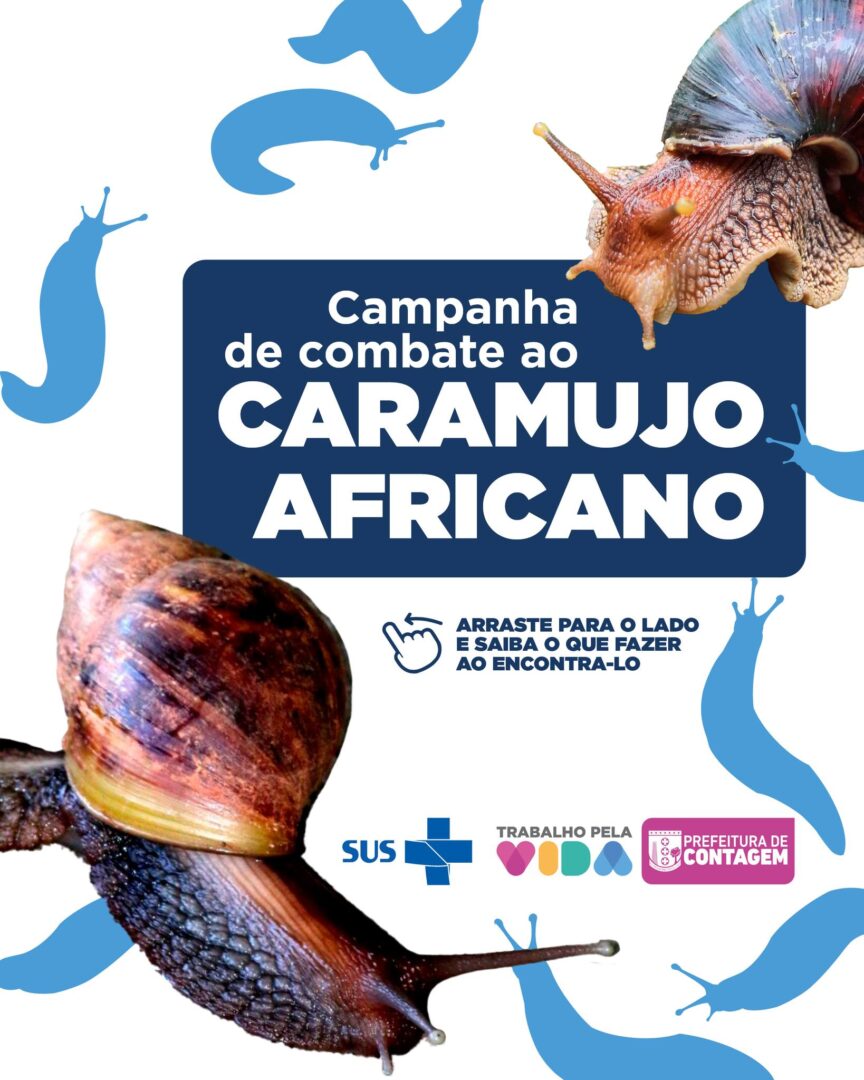 Atenção com Animais de Estimação e Crianças na Remoção - inspiração 2