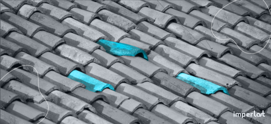 A Inspeção Detalhada das Telhas: Rachaduras e Danos Visíveis - inspiração 1