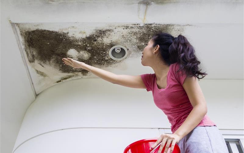 Verificando a Integridade da Estrutura de Suporte do Telhado - inspiração 1