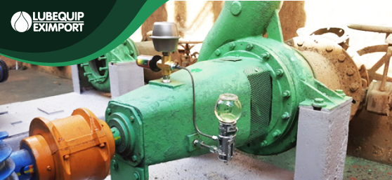 Instalação Correta: O Primeiro Passo para a Durabilidade - inspiração 1