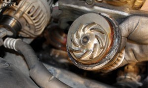 Proteção Contra Elementos Externos - inspiração 1