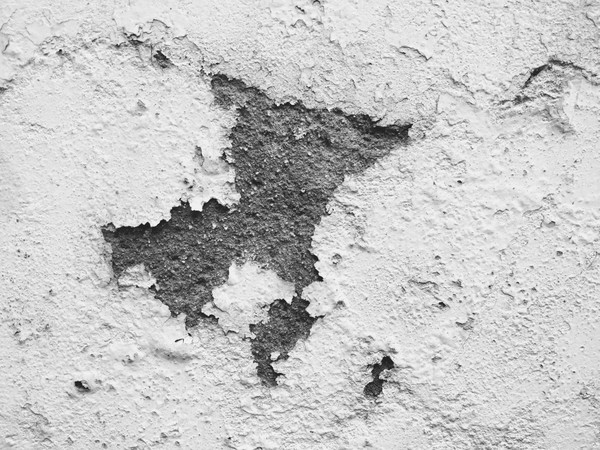 Entenda Por Que Sua Parede Está Esfarelando: Causas Comuns - inspiração 2