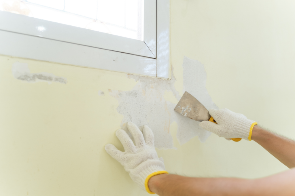 O Toque Final: Deixando Sua Parede Impecável e Duradoura - inspiração 2