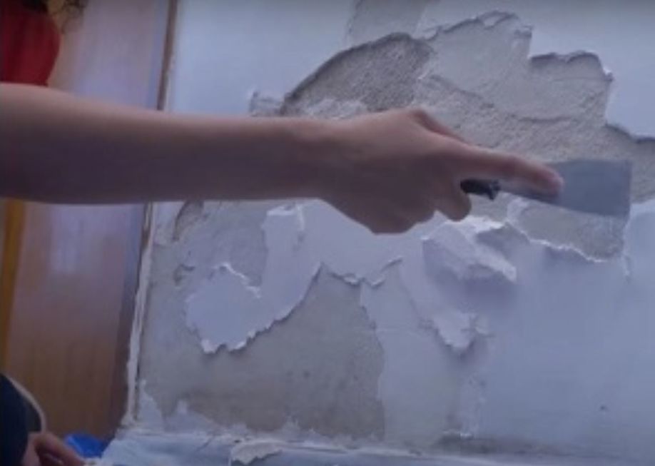 O Passo a Passo Para Aplicar o Fundo Preparador Acrílico - inspiração 2