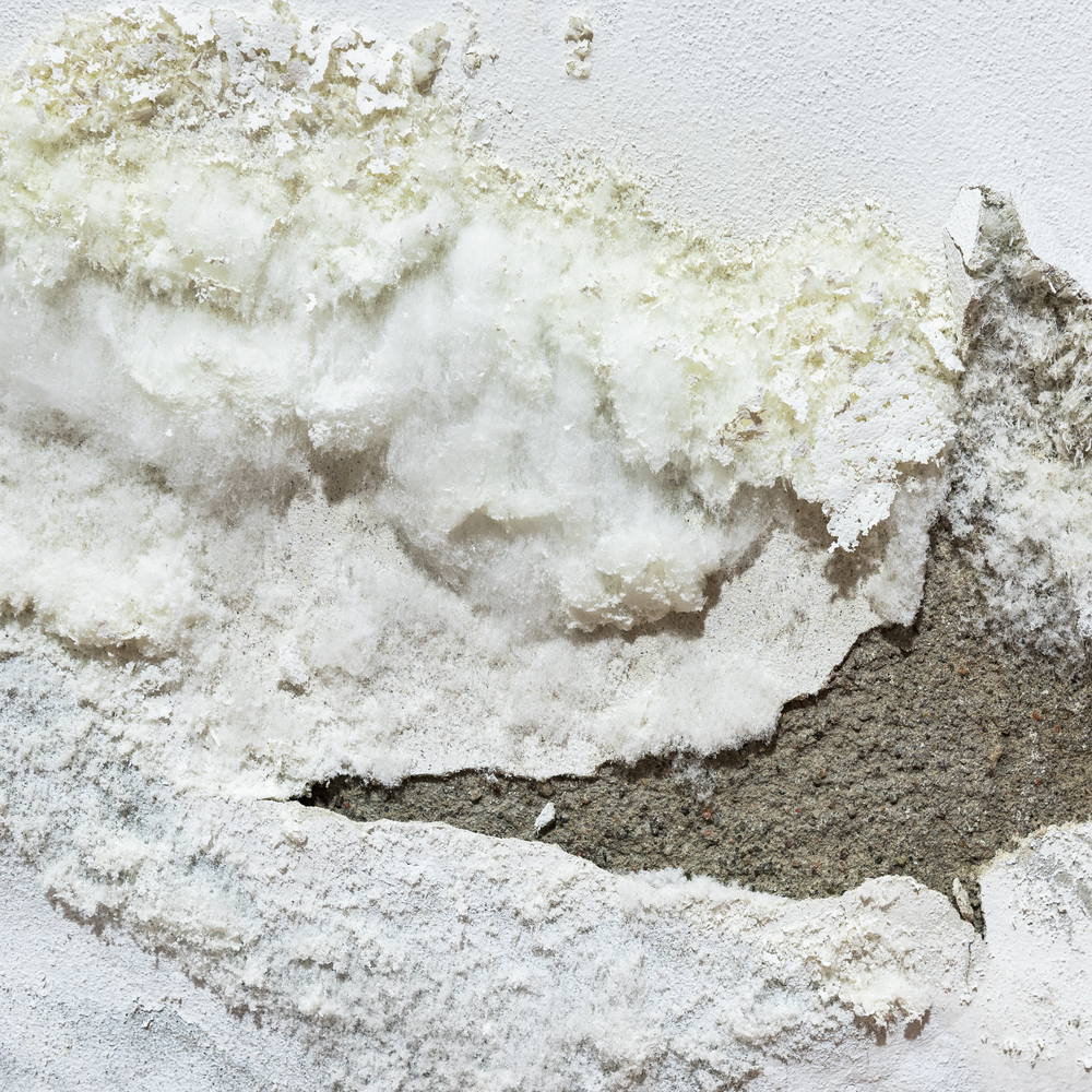 Lixando Para um Acabamento Perfeito: O Segredo da Suavidade - inspiração 1