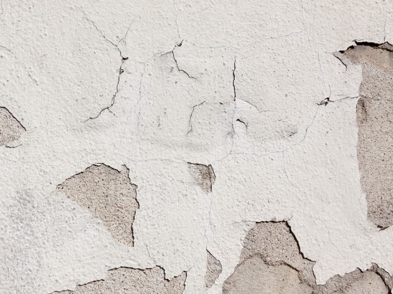 A Importância de Uma Boa Camada de Tinta Para Selar e Proteger - inspiração 1