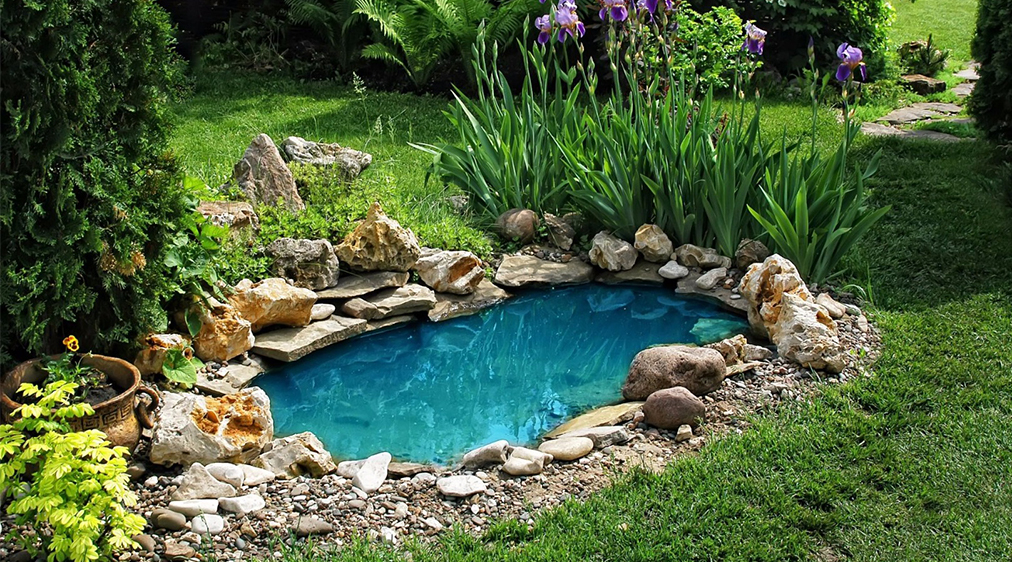 Escolhendo o Local Perfeito: Sol, Sombra e o Entorno Ideal - inspiração 1