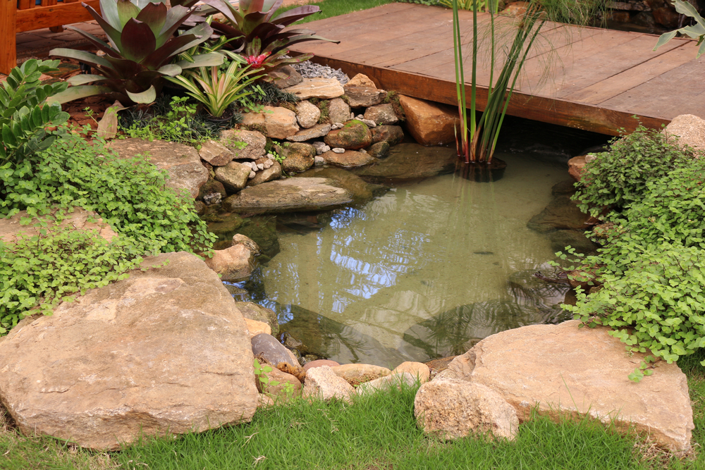 Escolhendo o Local Perfeito: Sol, Sombra e o Entorno Ideal - inspiração 2