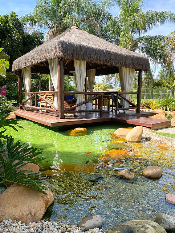 Primeiros Habitantes: Peixes e Vida Aquática que Darão Vida ao Seu Lago - inspiração 1