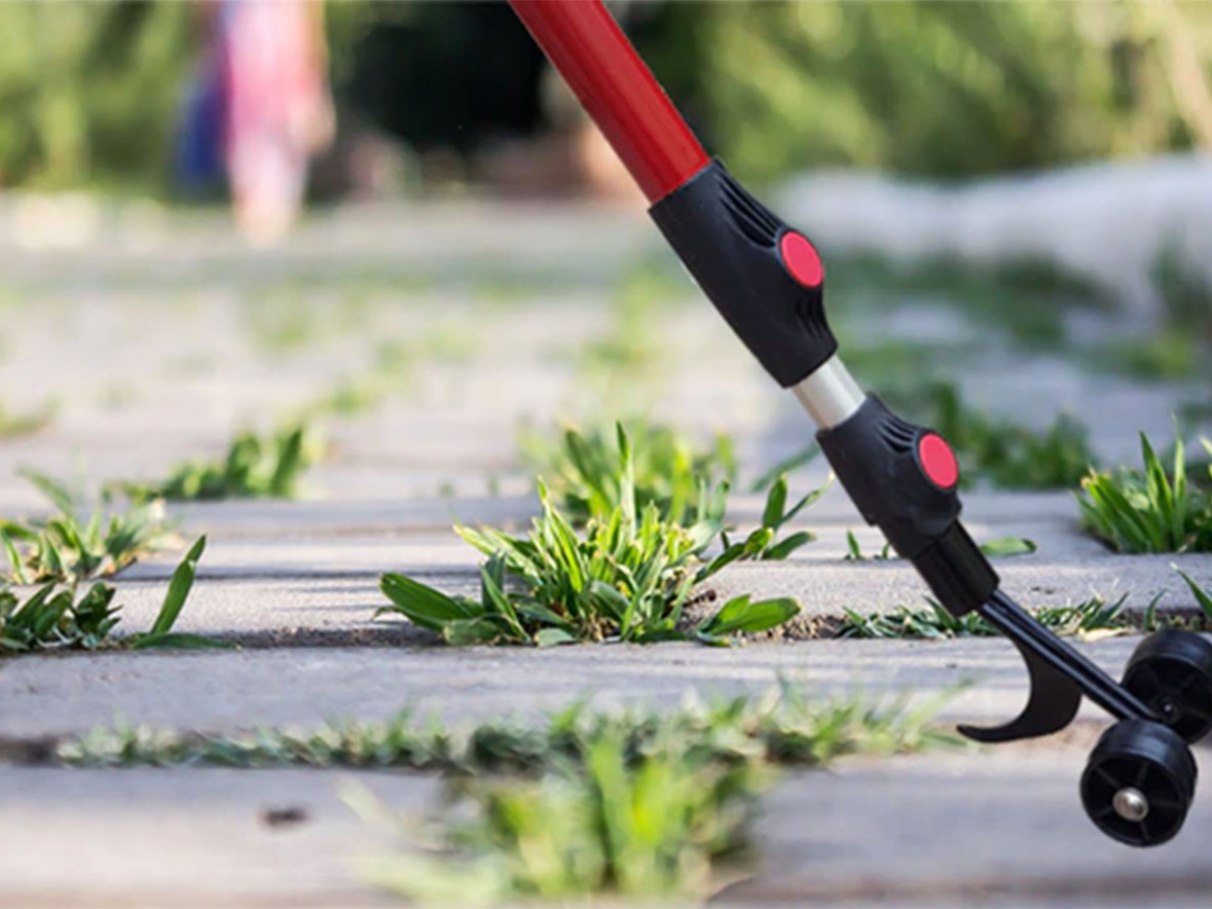 A importância de uma calçada livre de mato: mais que estética, é segurança - inspiração 2