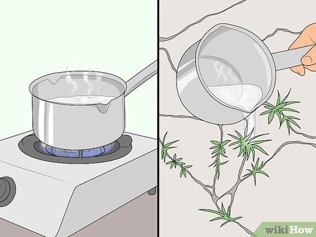 Ferramentas manuais: a força do seu braço com o equipamento certo - inspiração 1