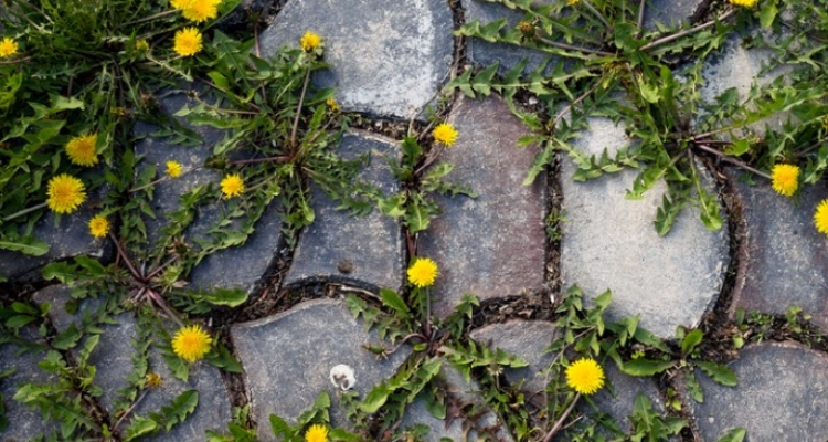 Cuidando do visual: dicas extras para um acabamento perfeito - inspiração 2