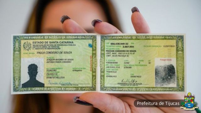 Onde Solicitar a 2ª Via: Presencialmente ou Online? - inspiração 2