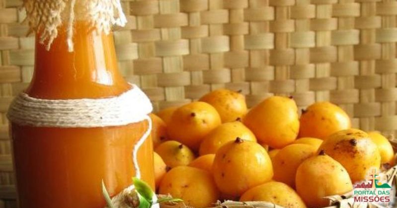 Escolhendo os Melhores Frutos de Butiá - inspiração 2