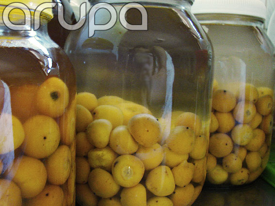 Degustando Seu Licor de Butiá: Momentos Especiais - inspiração 2