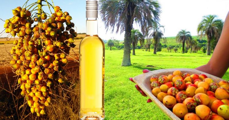 A Higienização Perfeita dos Ingredientes - inspiração 1