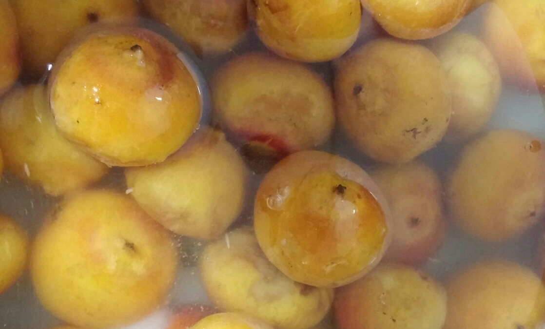 A Higienização Perfeita dos Ingredientes - inspiração 2