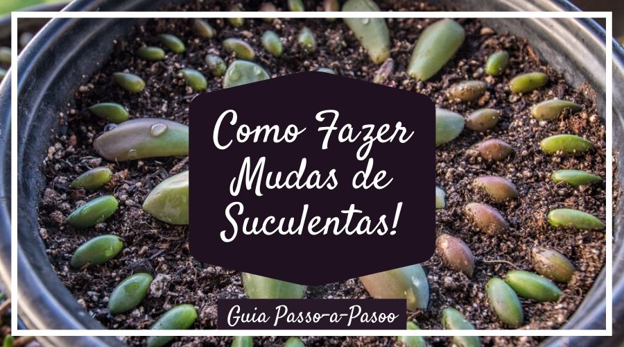 A Hora Certa de Cortar: Onde e Como Fazer os Cortes - inspiração 1