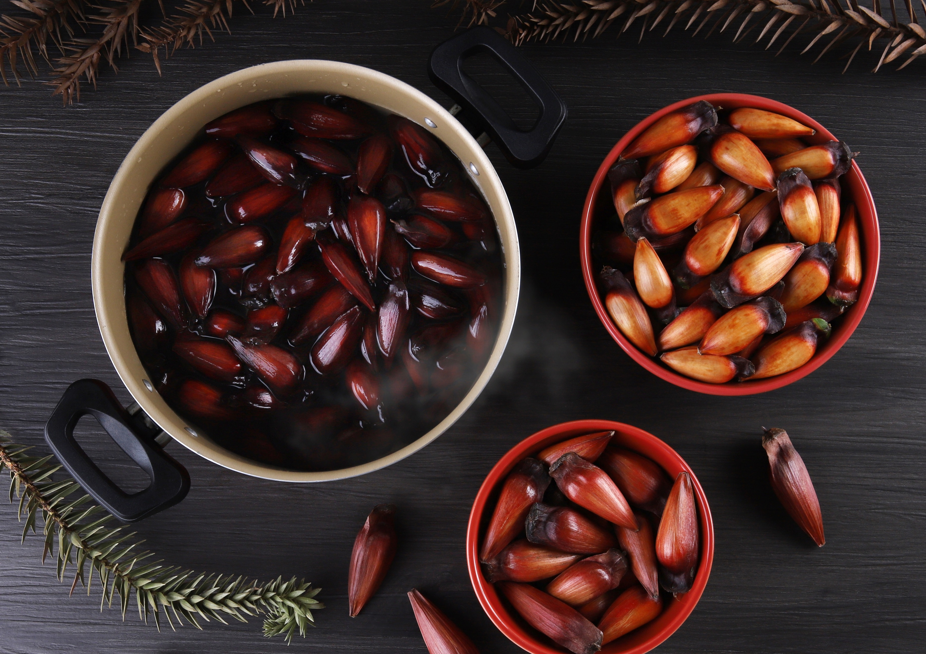 A Escolha Perfeita: Como Selecionar os Melhores Pinhões - inspiração 2