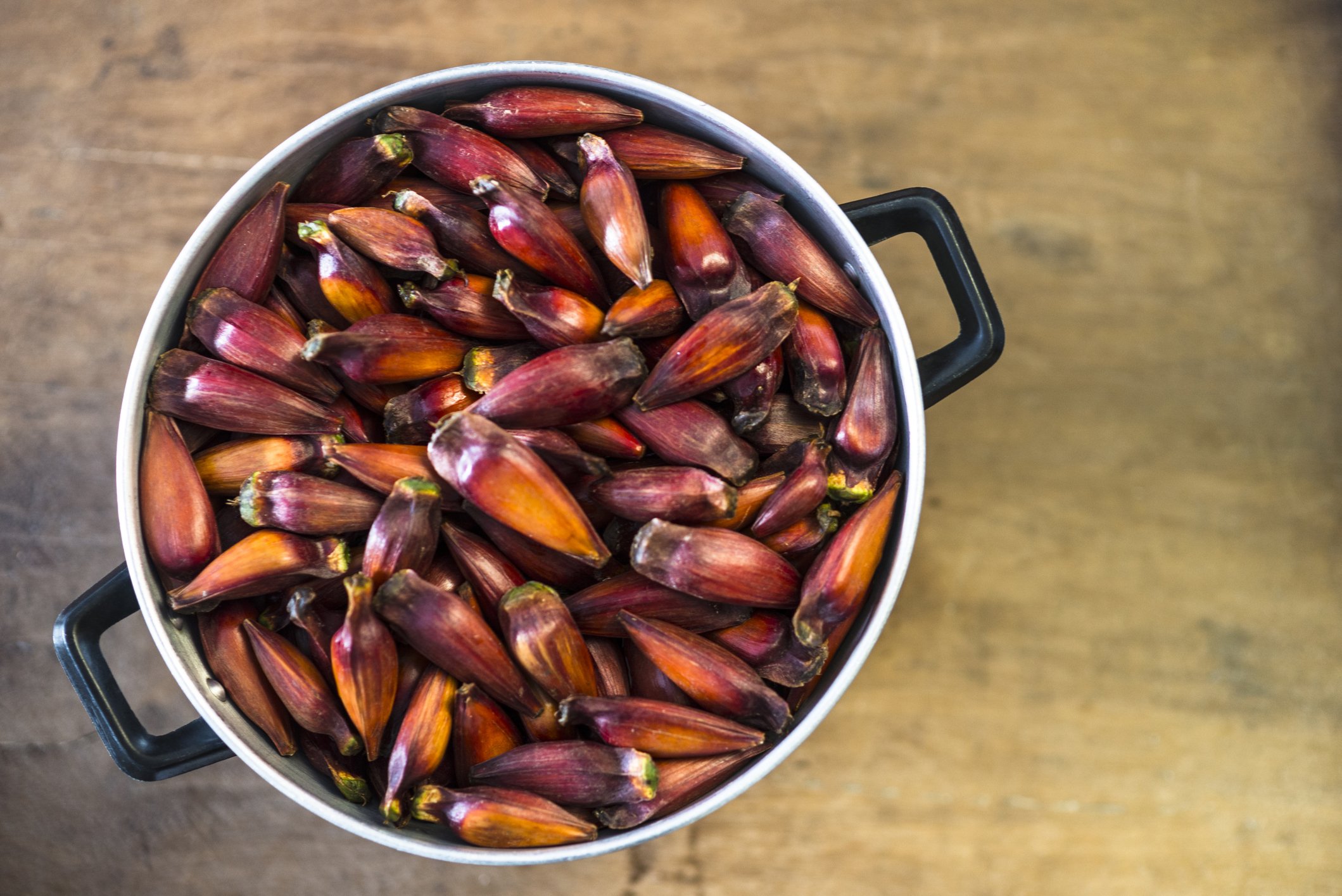Erros Comuns a Evitar ao Preparar Pinhão - inspiração 1